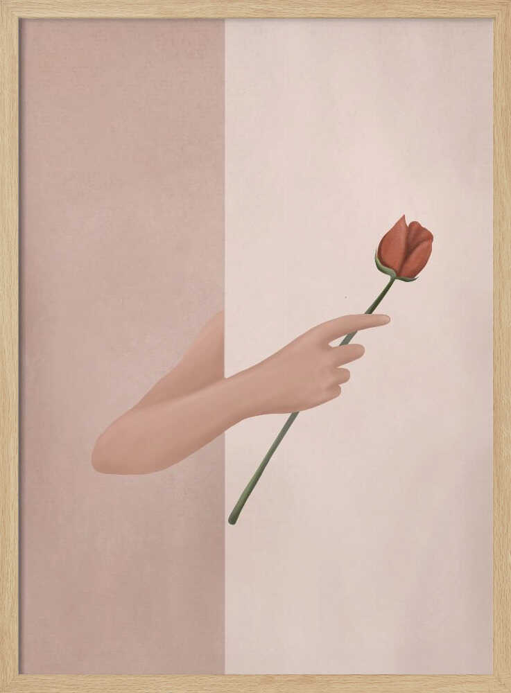 One Rose Flower