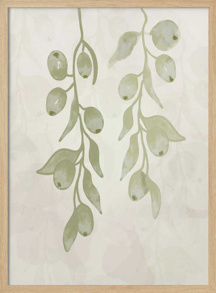 Olive Branches Watercolor