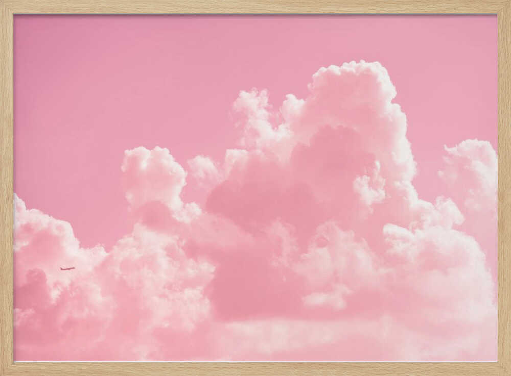 Pastel Sky Flight