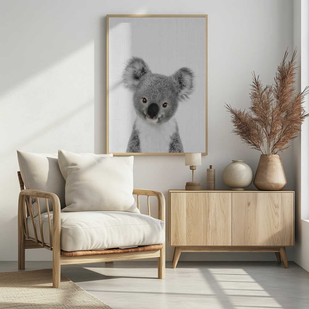 Cute Baby Koala