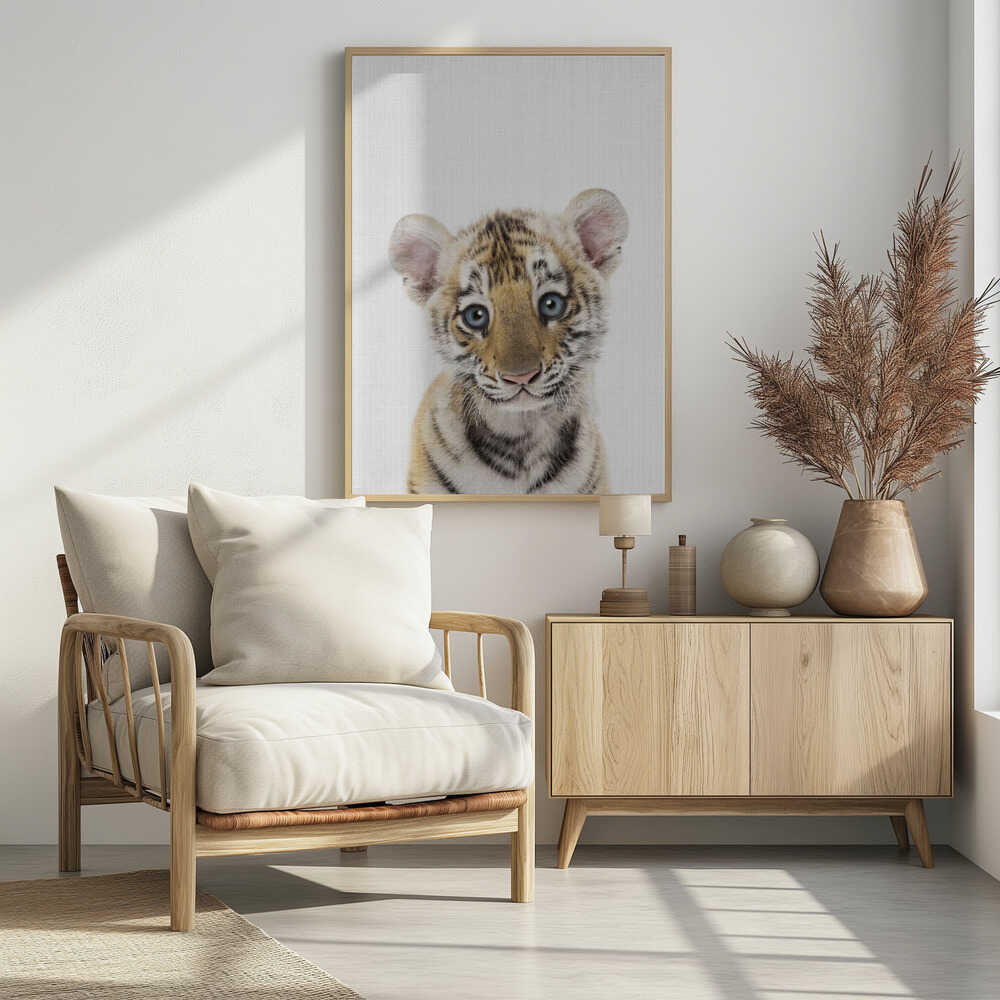 Innocent Tiger Cub