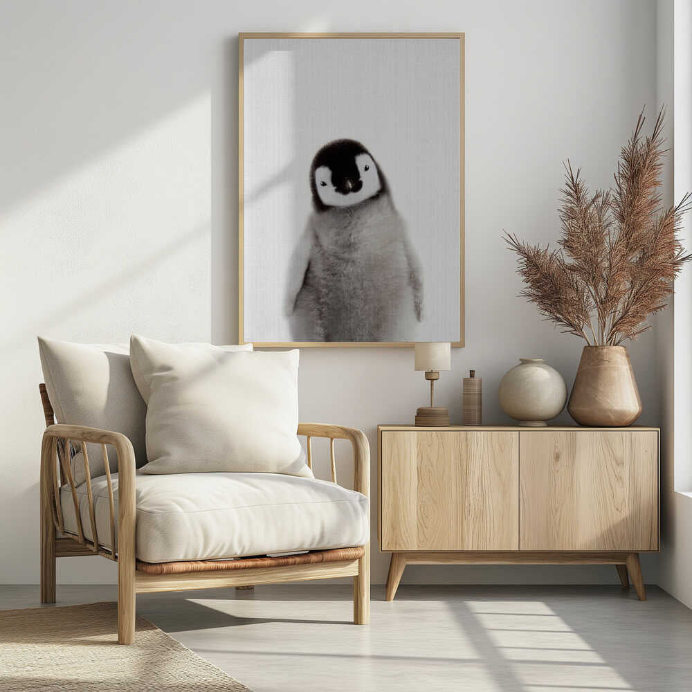 Curious Baby Penguin