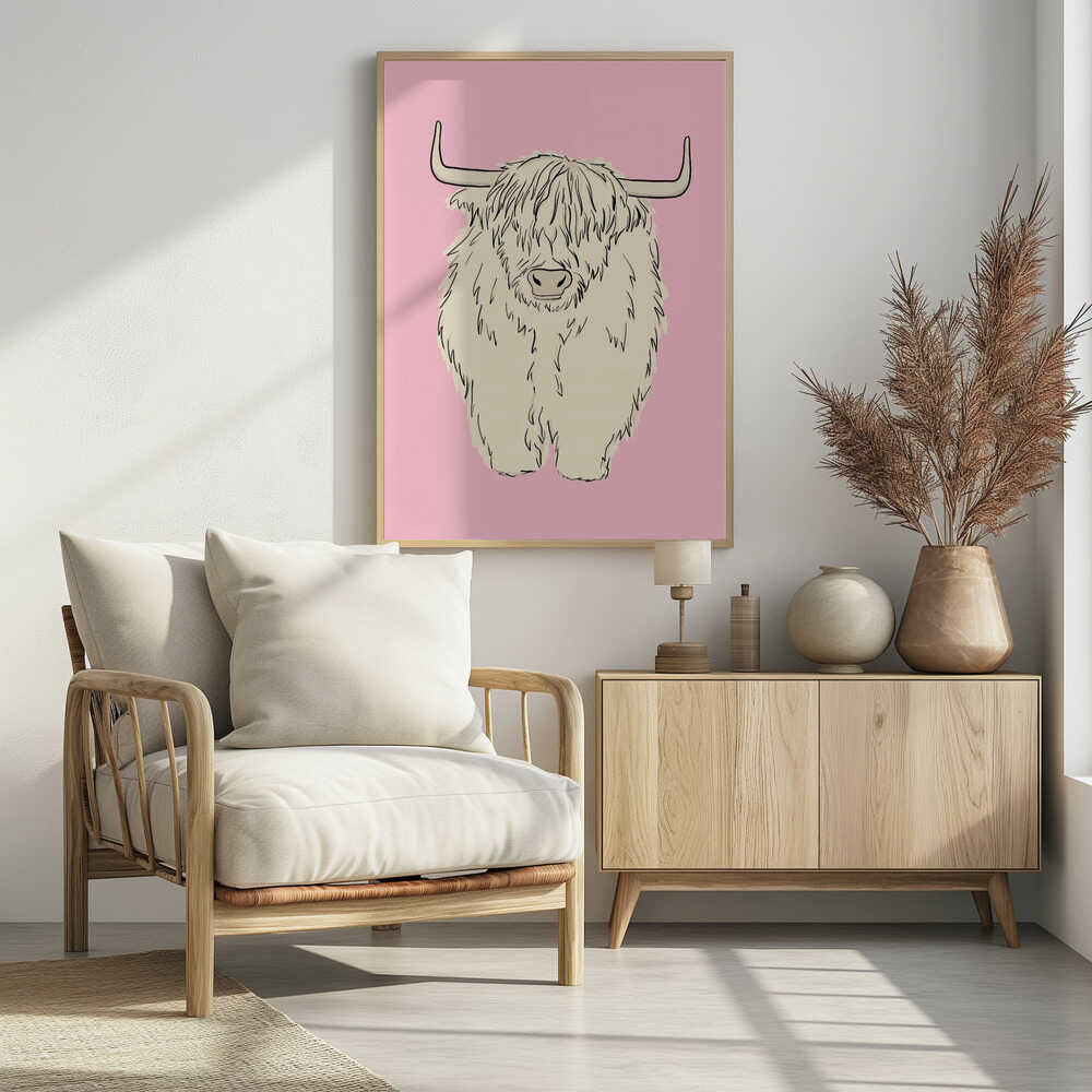 Pink Highland Coo