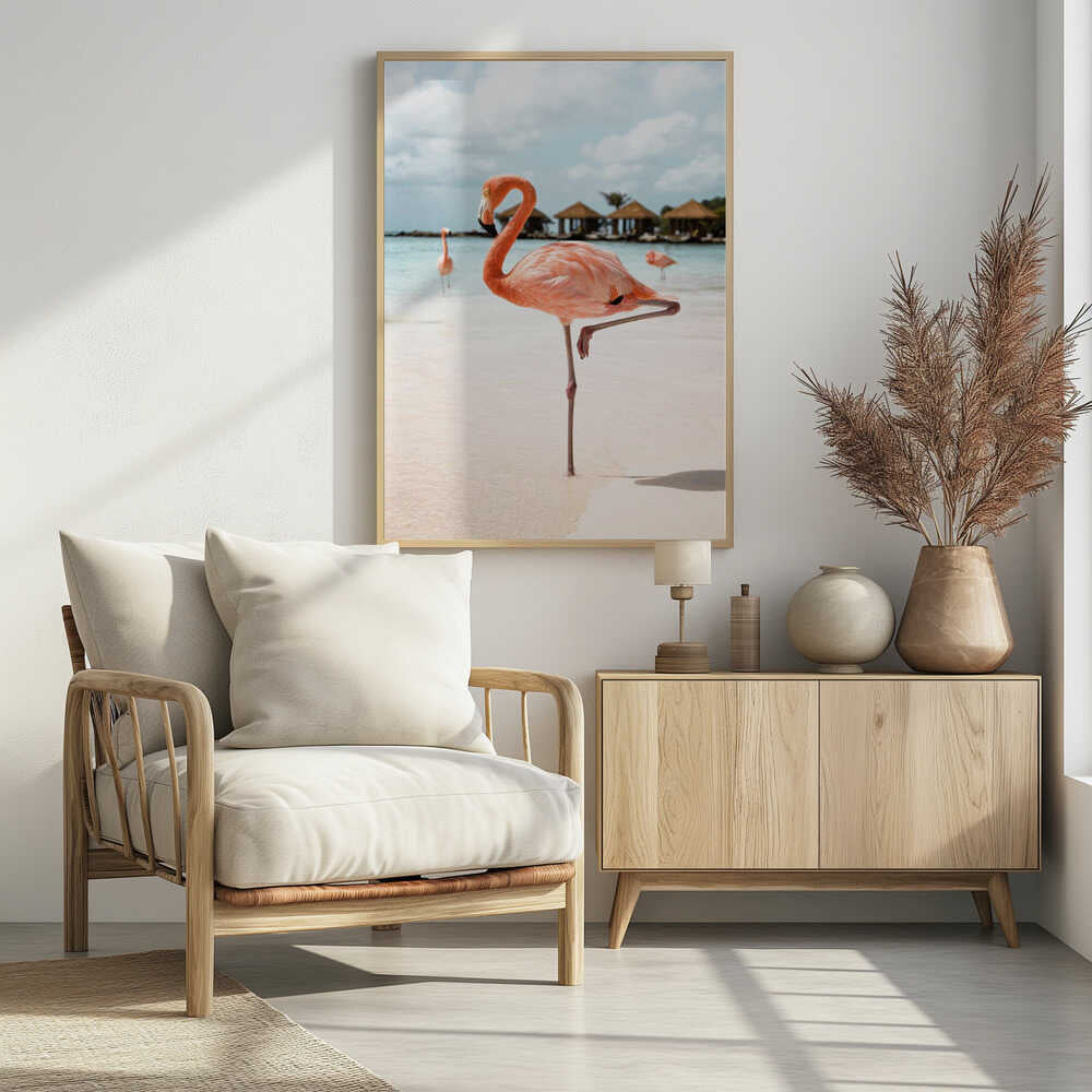 Pink Flamingo Beach