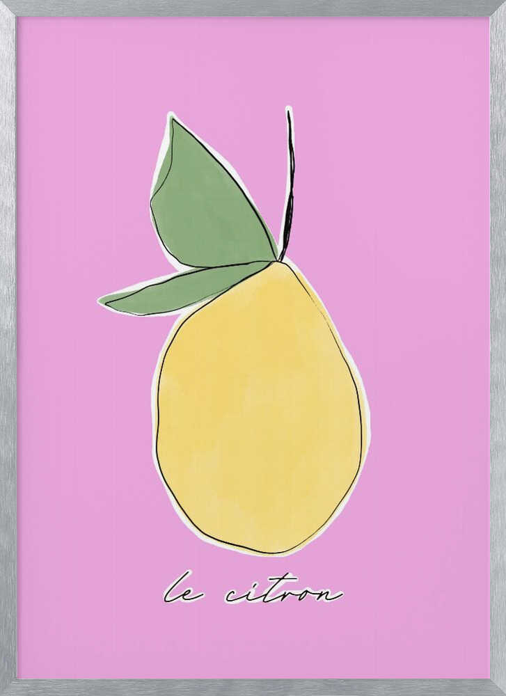 Citrus Delight