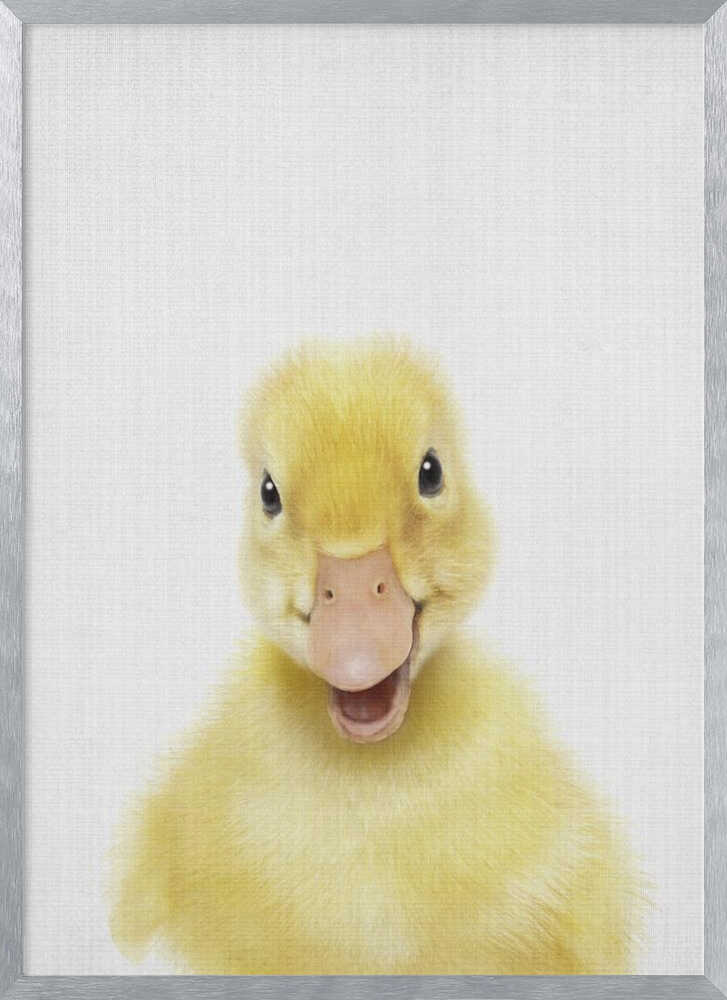 Smiling Baby Duck