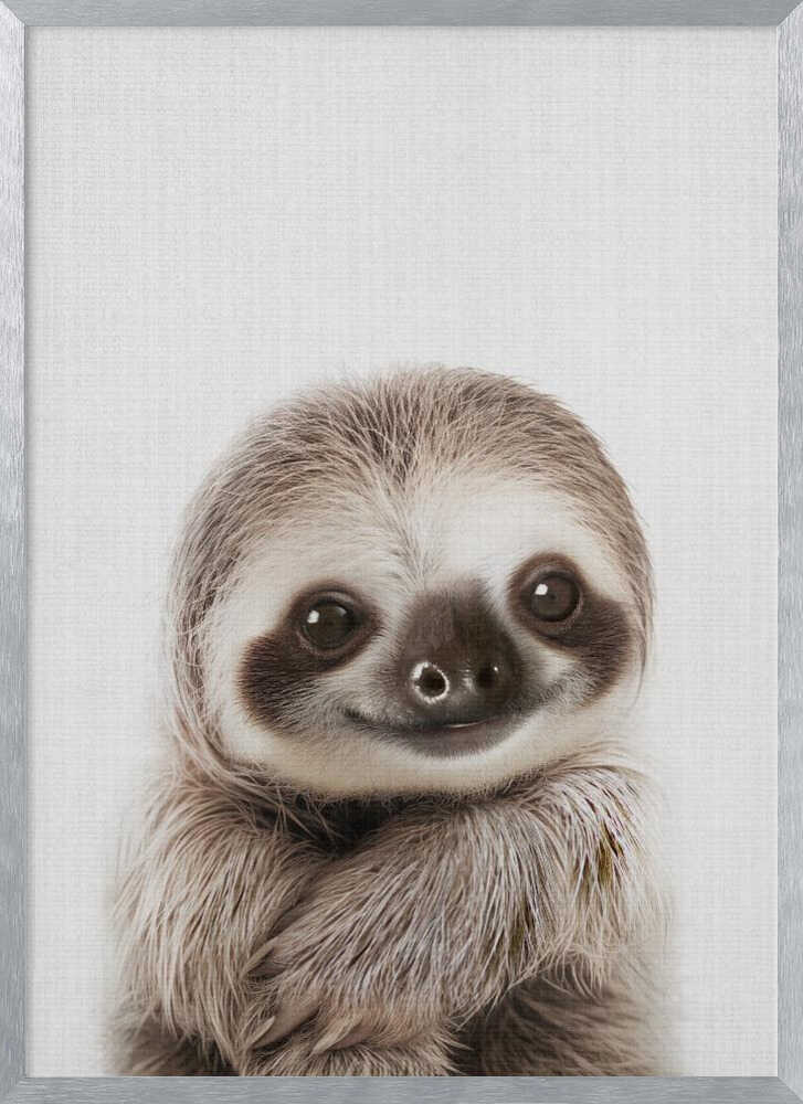 Sweet Baby Sloth Smile