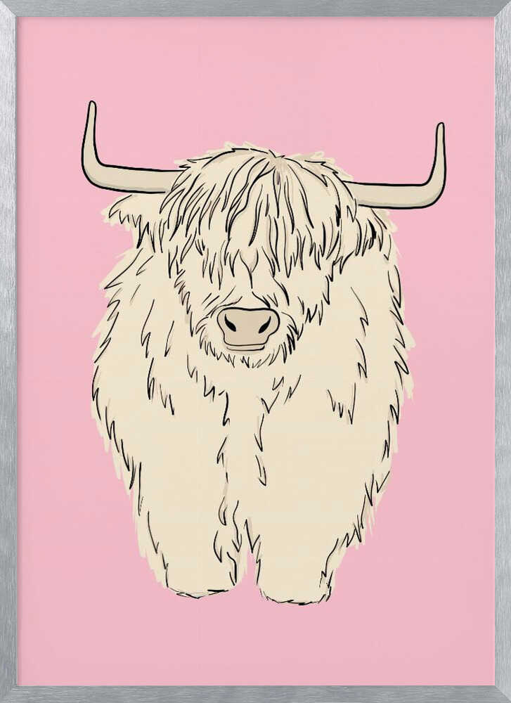 Pink Highland Coo