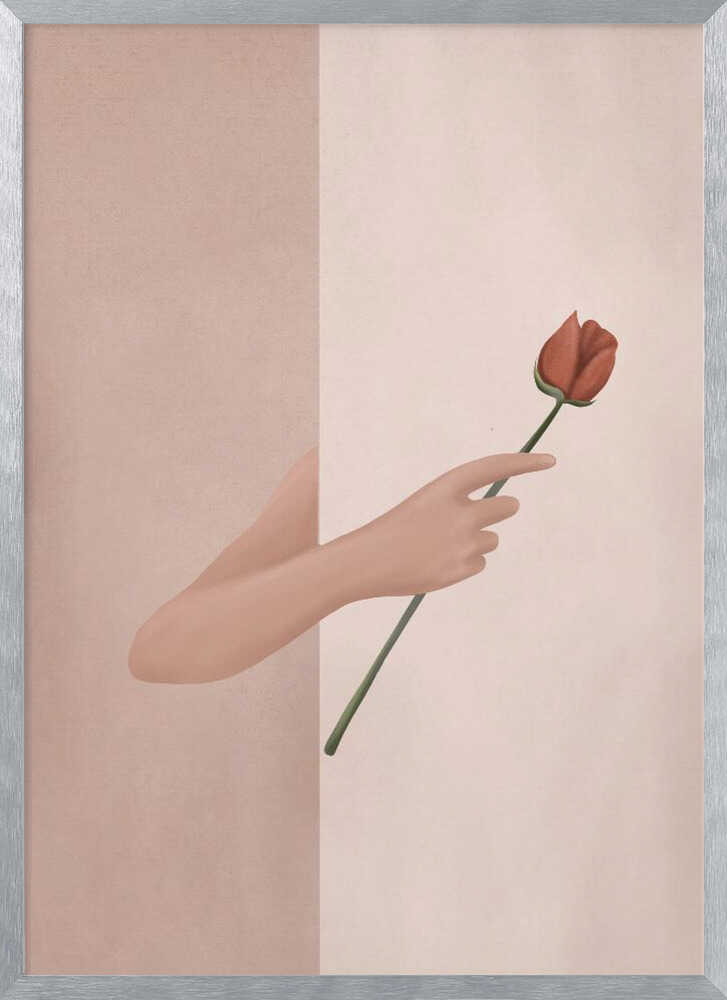 One Rose Flower
