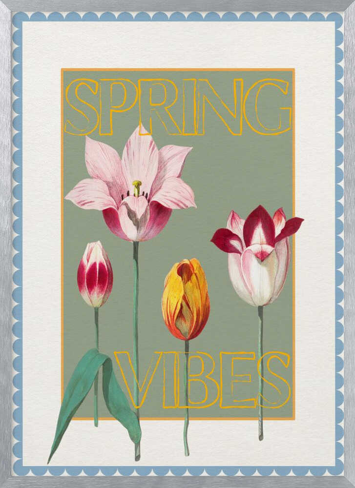 Spring Tulips Vibes