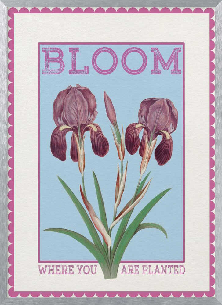 Purple Irises Bloom Quote