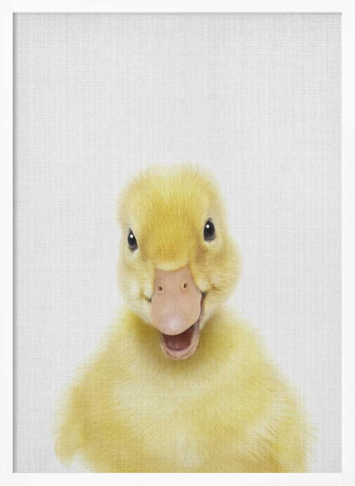 Smiling Baby Duck