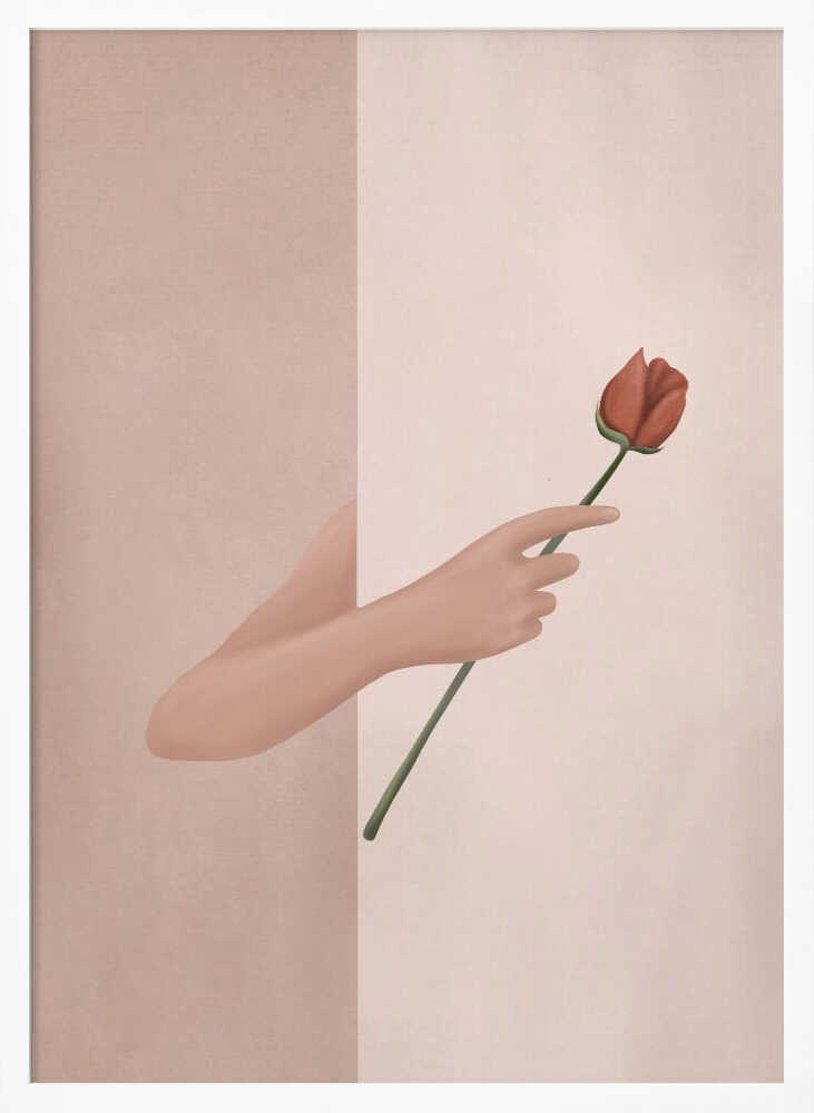 One Rose Flower