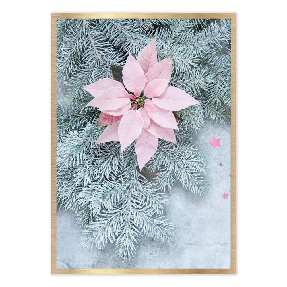 Poinsettia Festive Photographic Print