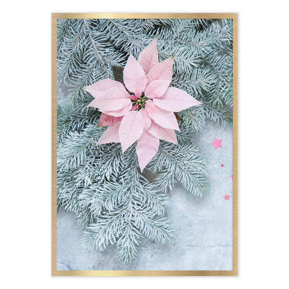 Poinsettia Festive Photographic Print
