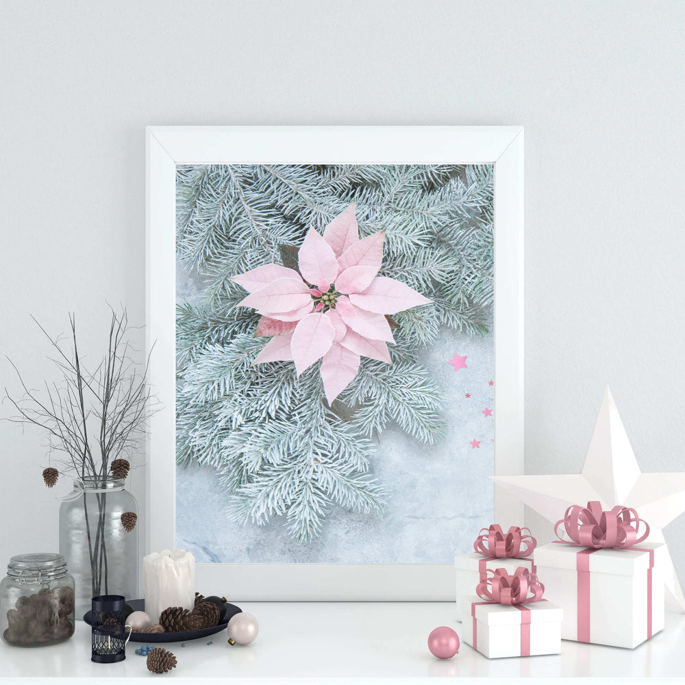 Poinsettia Festive Photographic Print