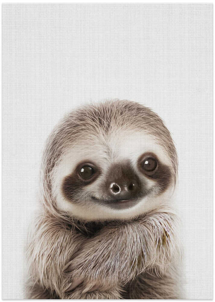 Sweet Baby Sloth Smile