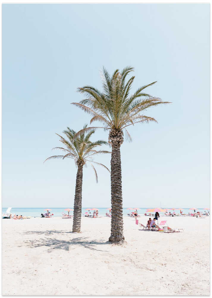 Tropical Palm Beach