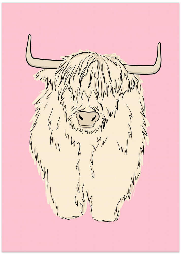 Pink Highland Coo