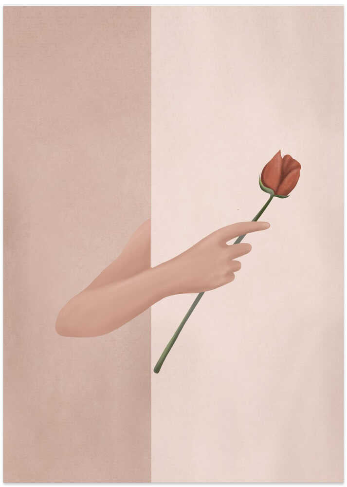 One Rose Flower