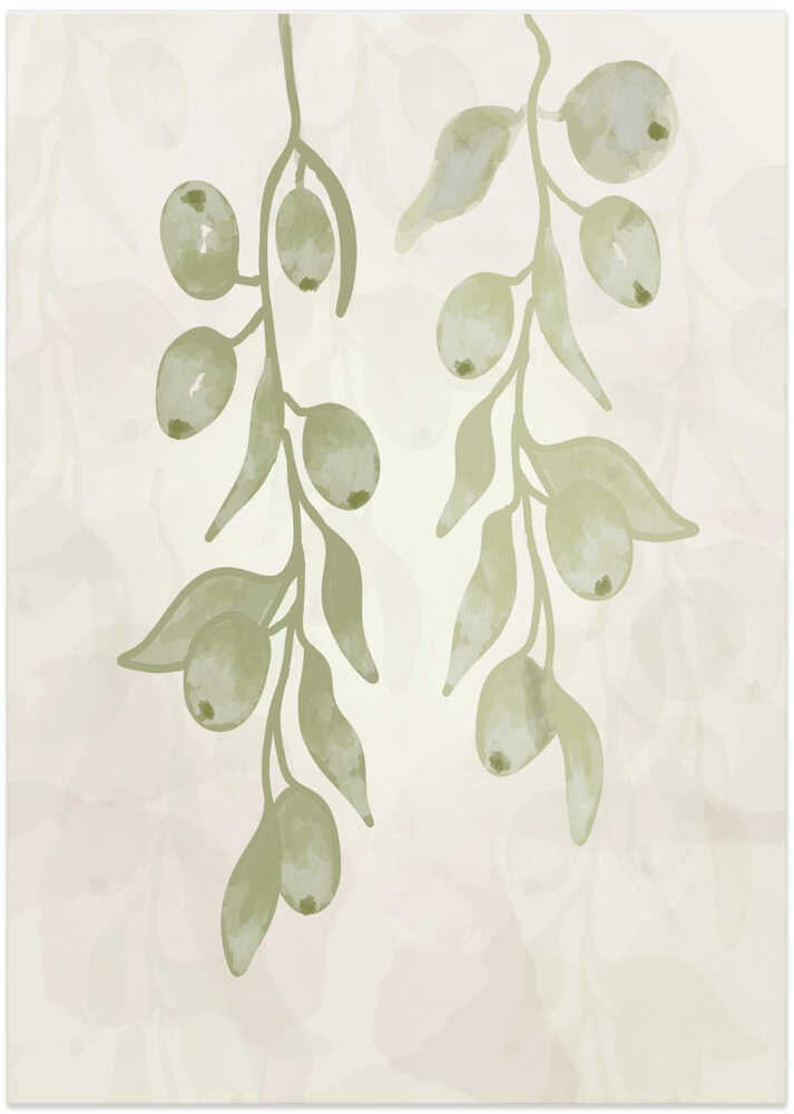Olive Branches Watercolor