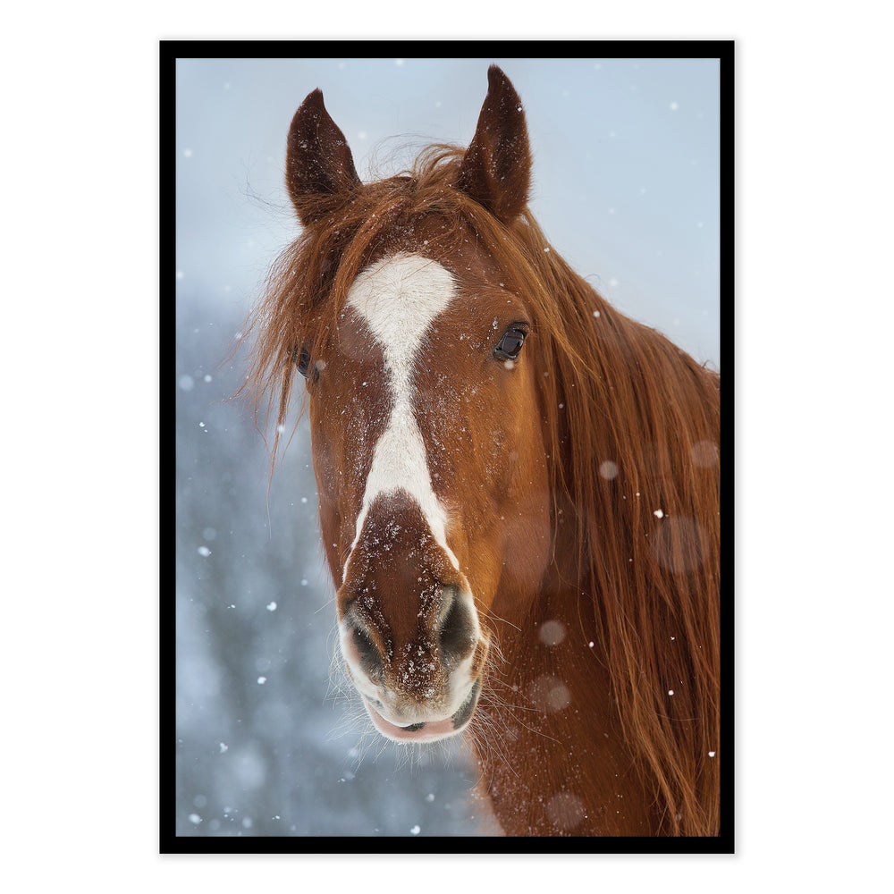 Snowy Photographic Print