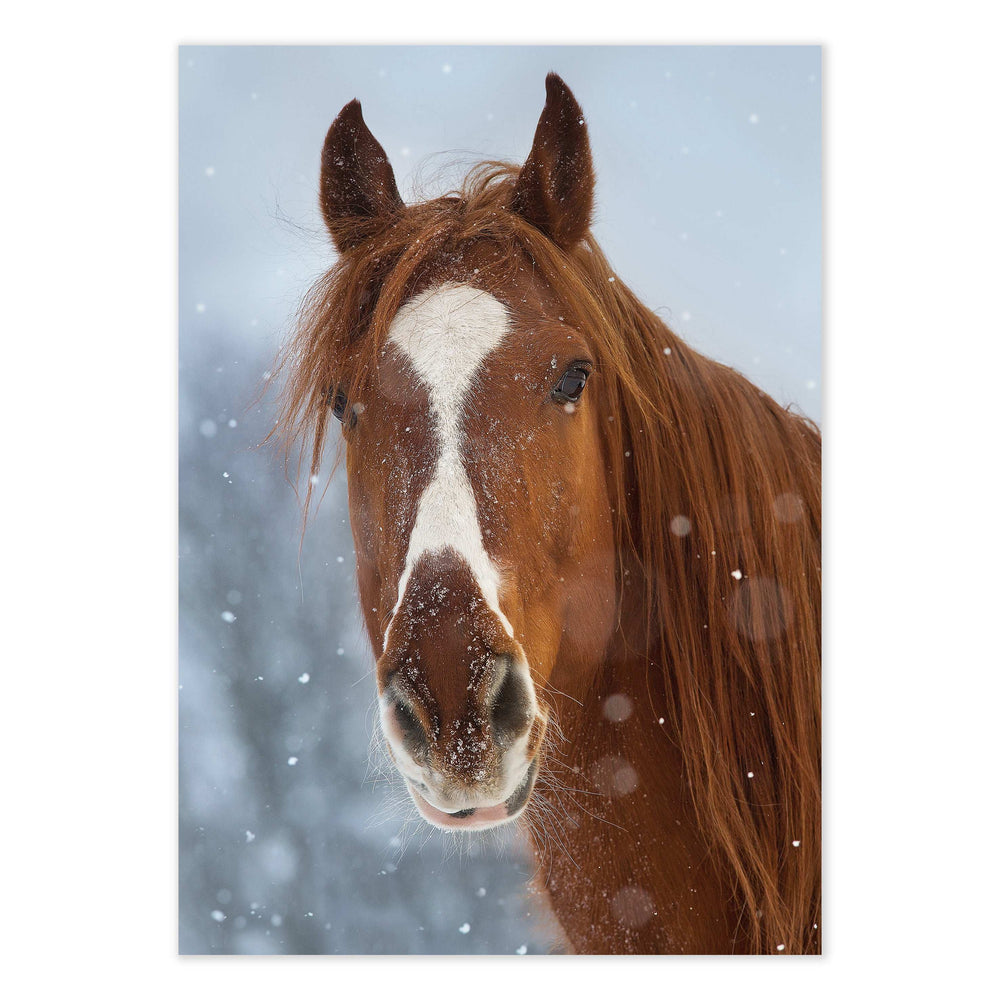 Snowy Photographic Print