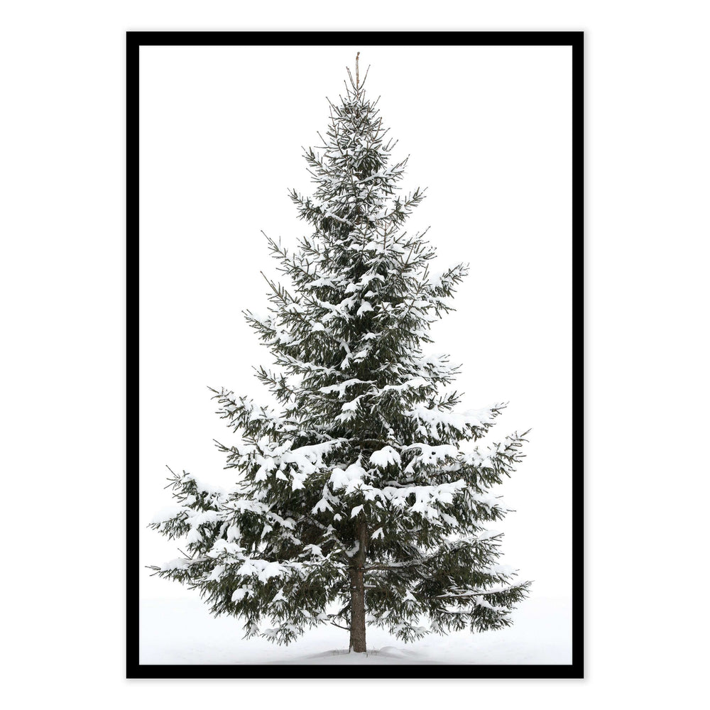 Snowy Tree