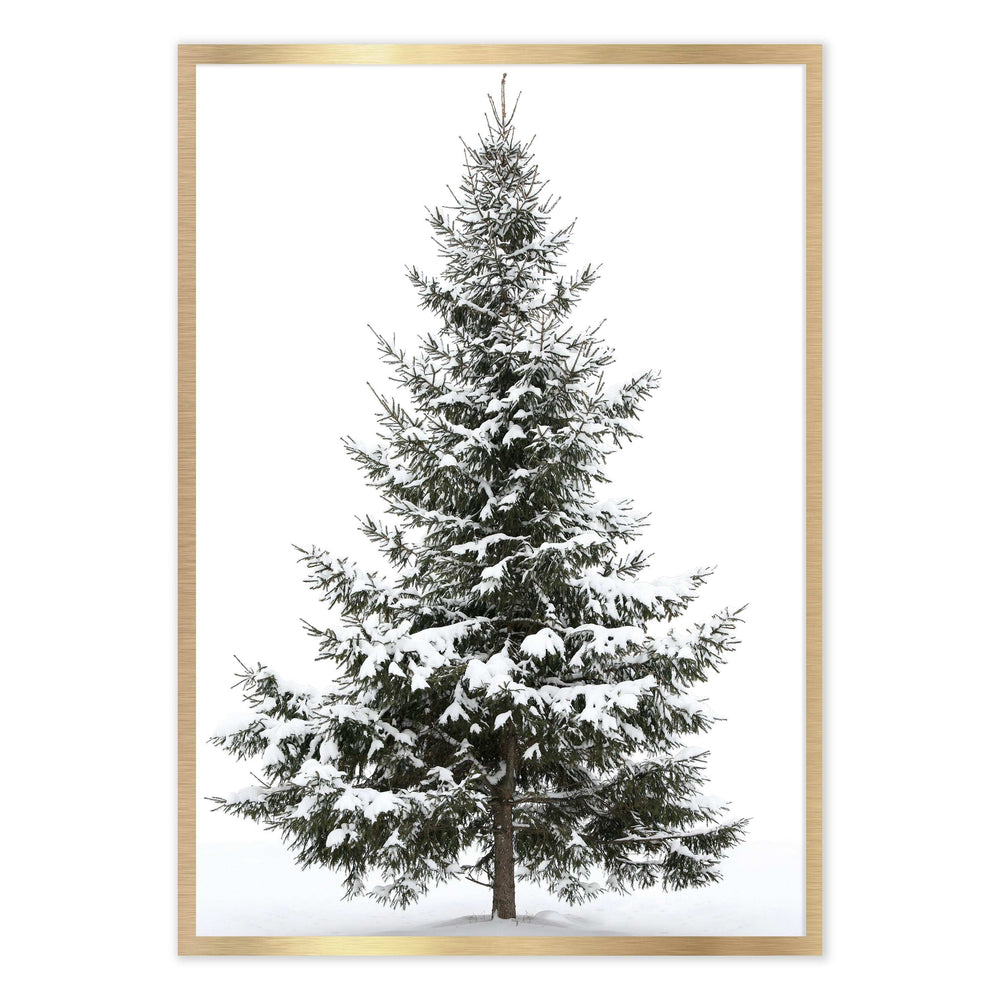 Snowy Tree