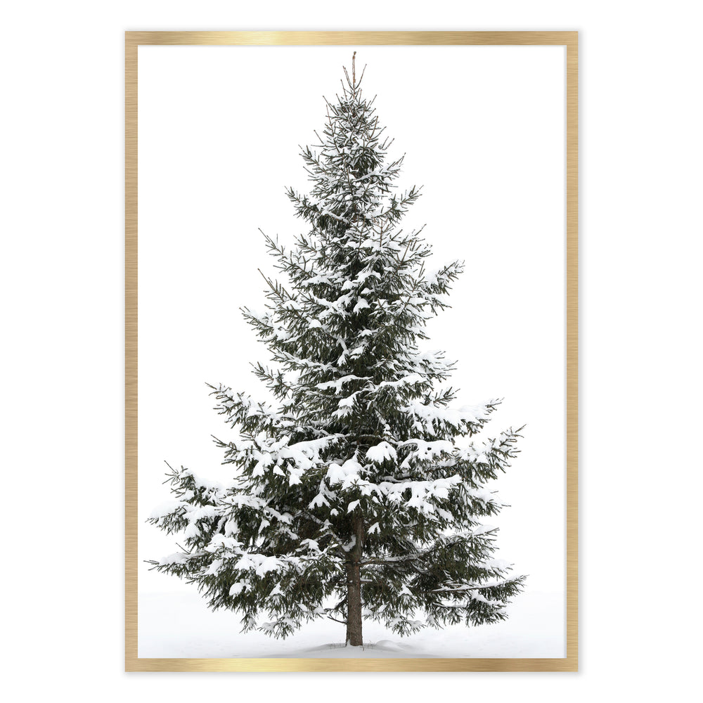 Snowy Tree