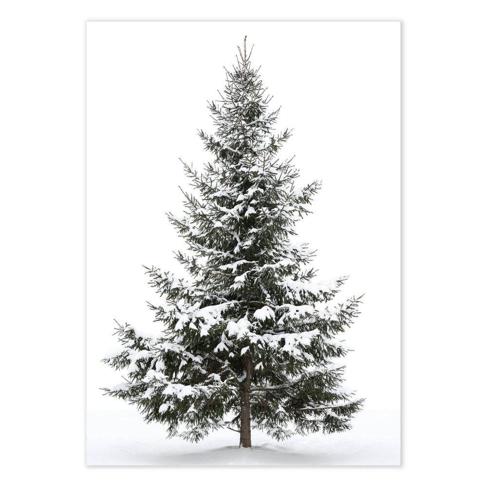 Snowy Tree