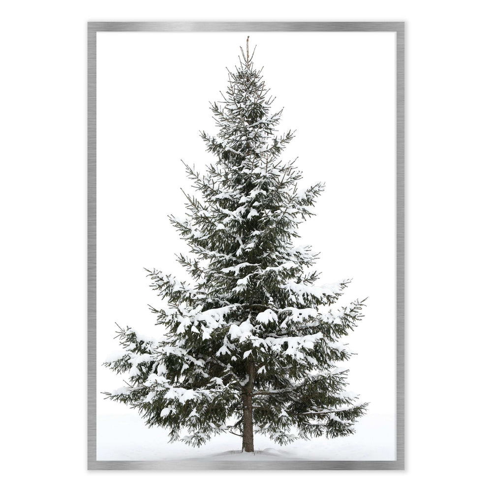 Snowy Tree
