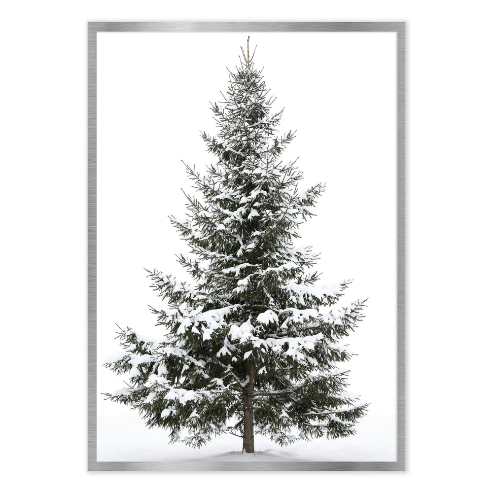 Snowy Tree