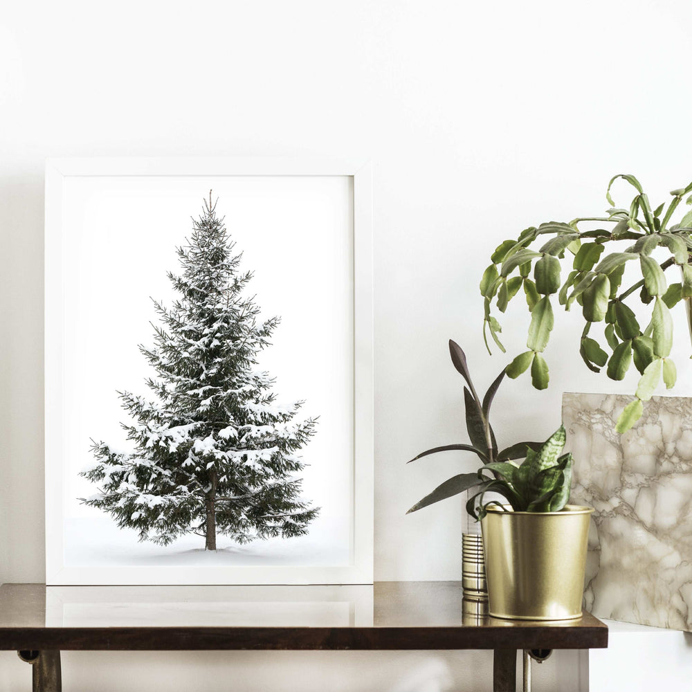 Snowy Tree