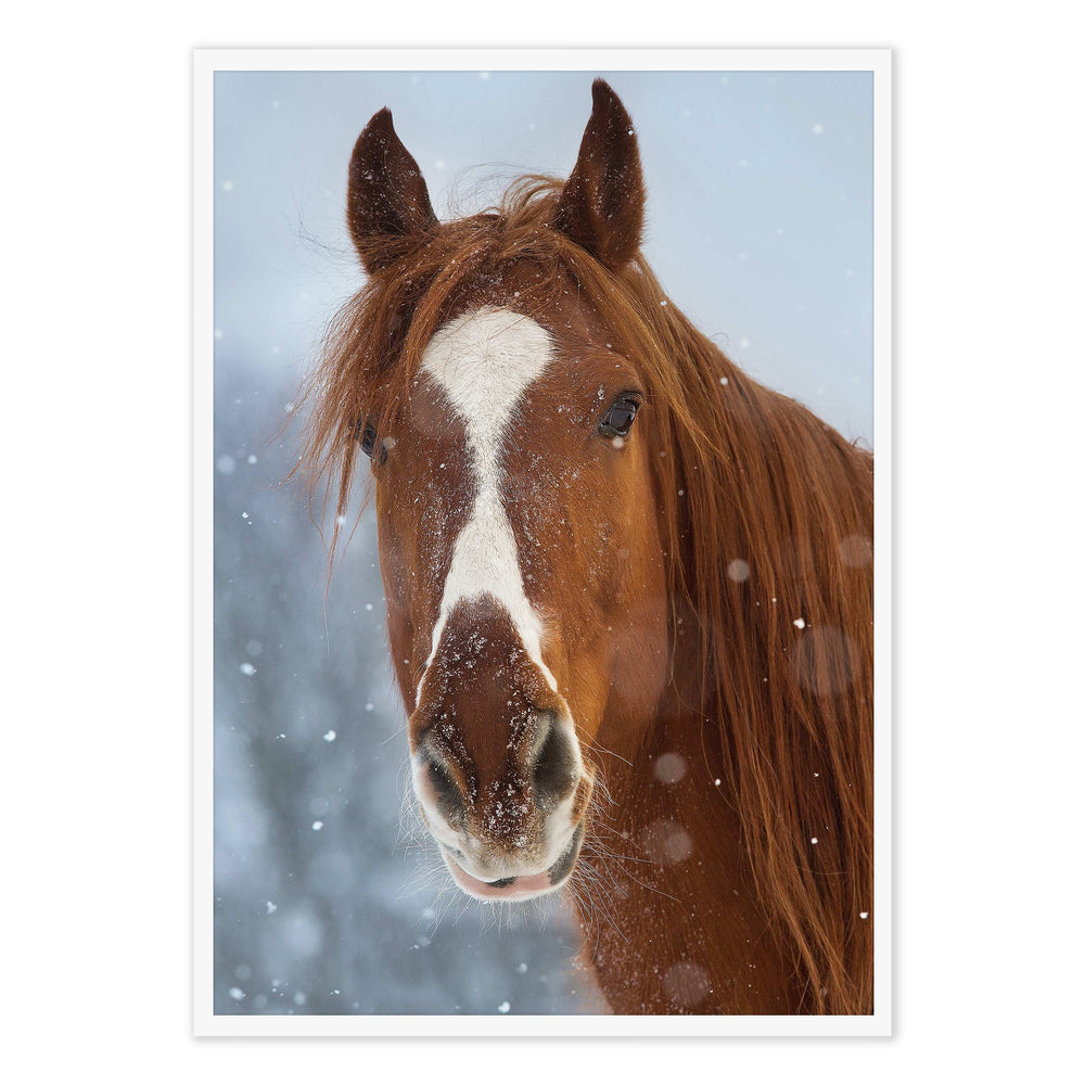 Snowy Photographic Print