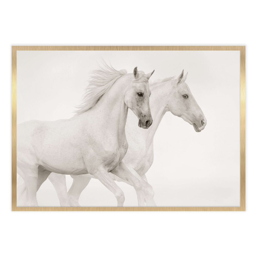 White Horses