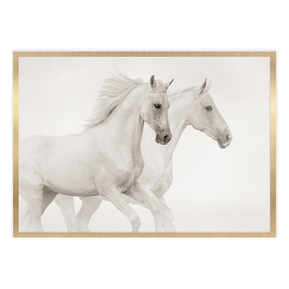 White Horses