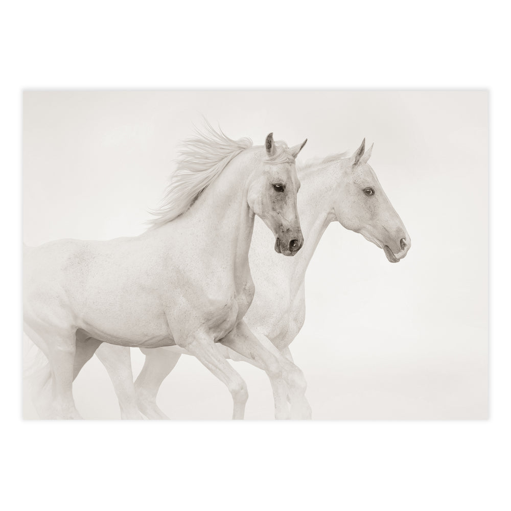White Horses