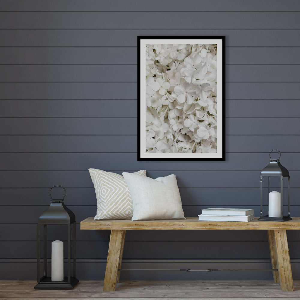 White Hydrangea Botanical Print
