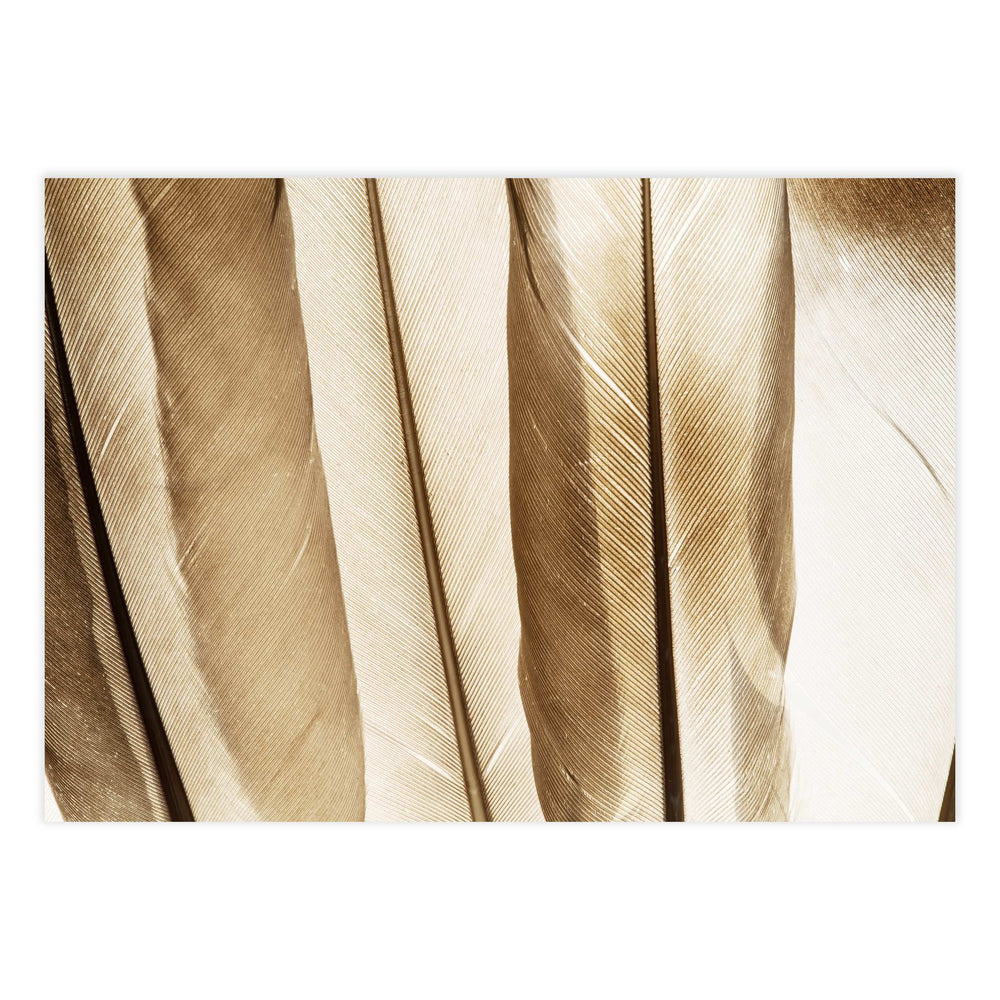 Wings Botanical Print No. 1