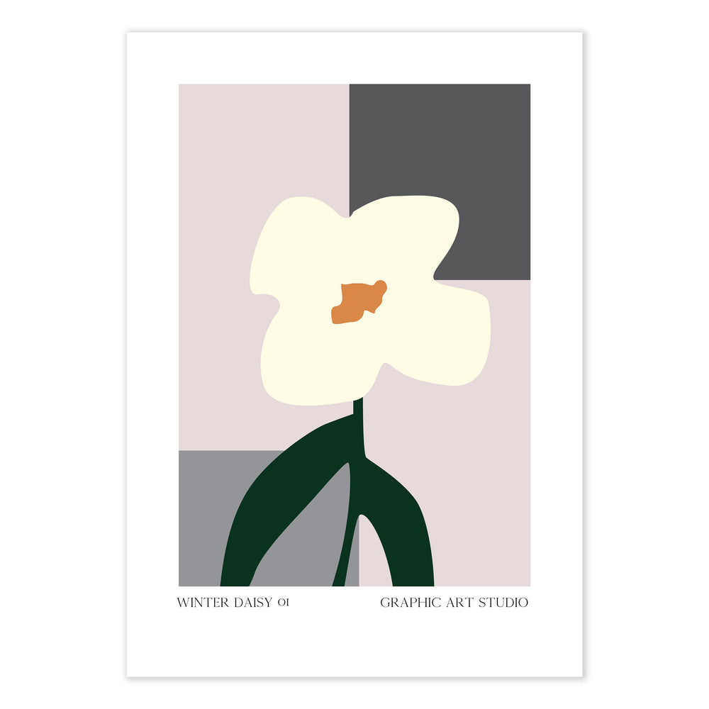 Winter Daisy 01 Graphic Print