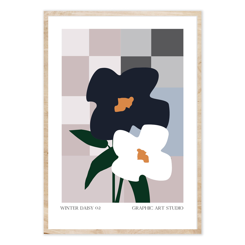 Winter Daisy 02 Graphic Print