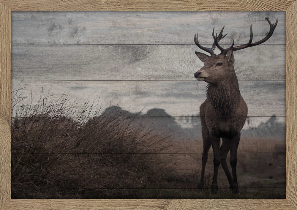 Stag Print