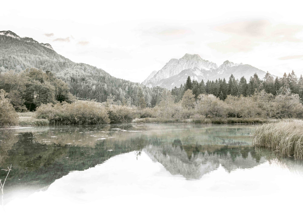 Mountain Views