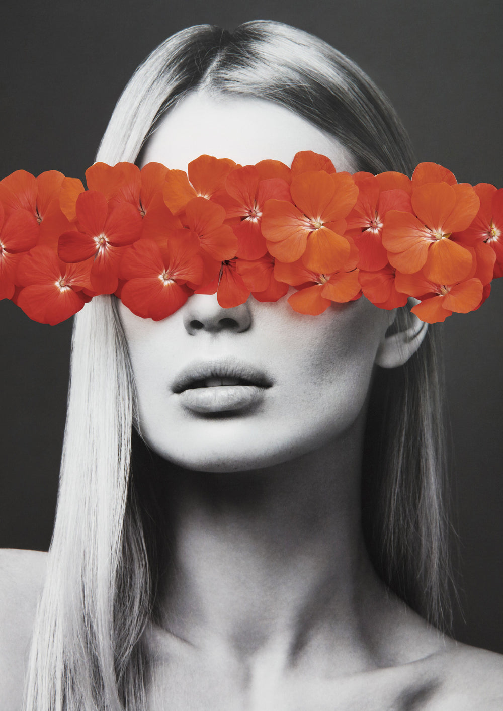 Red Petals