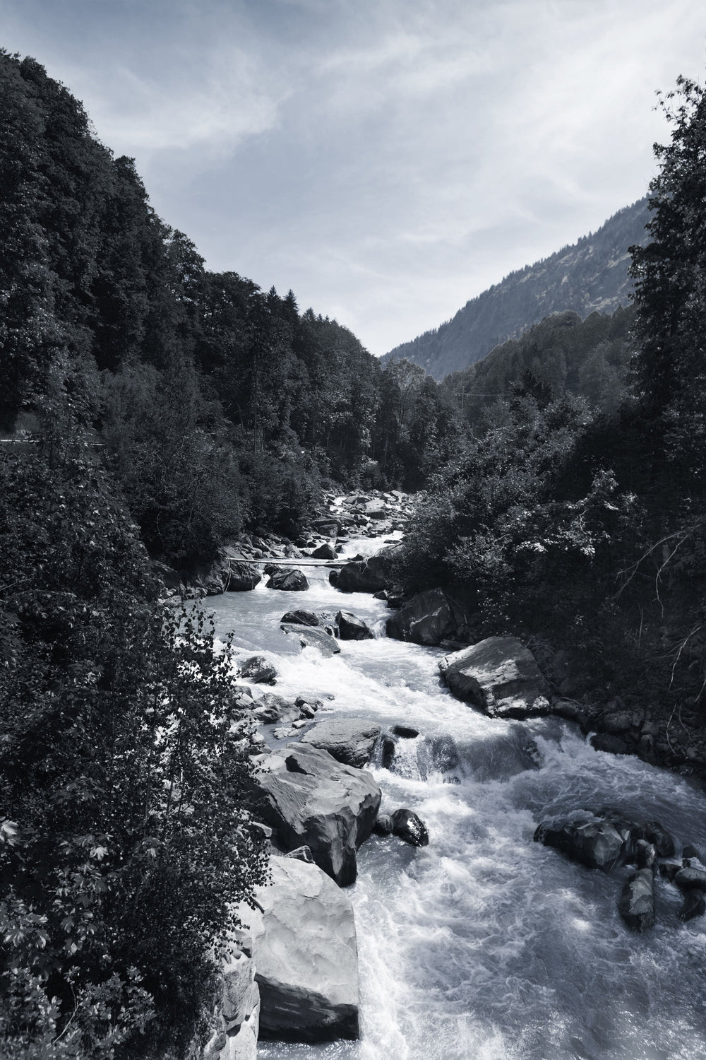 River View