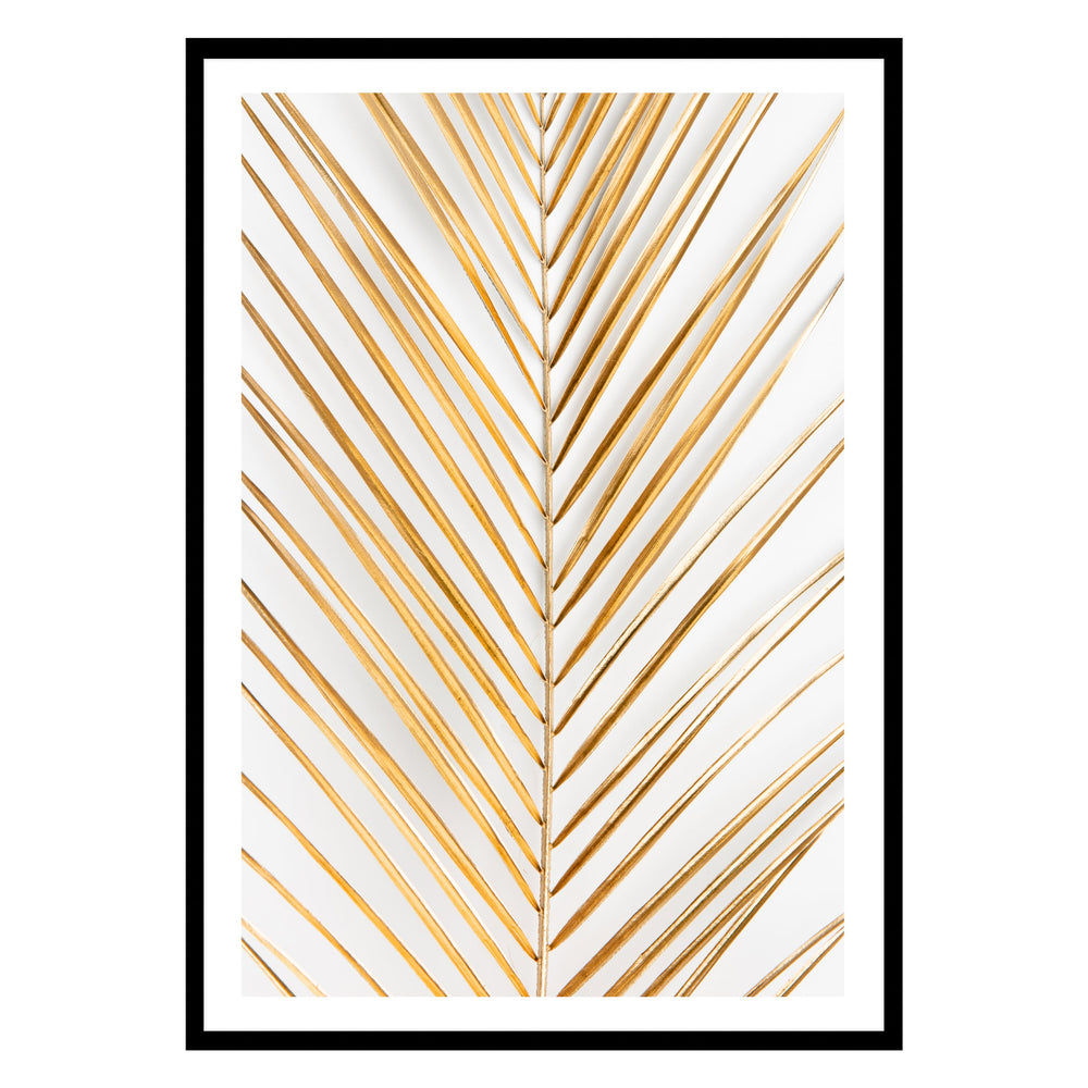 Golden Fern Photographic Print