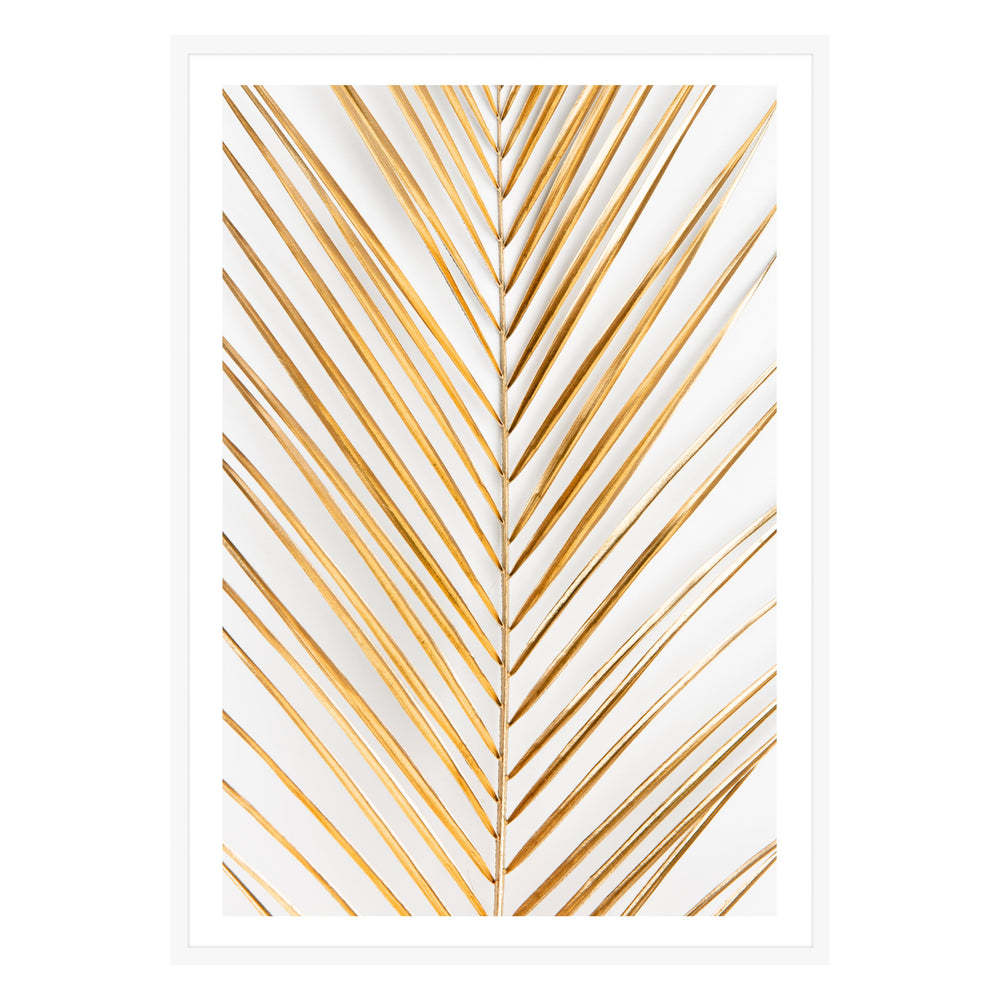 Golden Fern Photographic Print