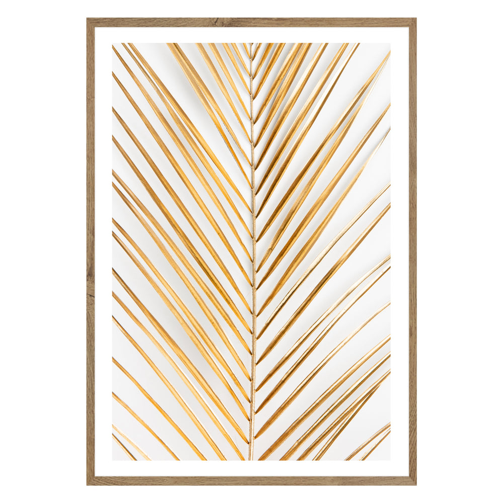 Golden Fern Photographic Print