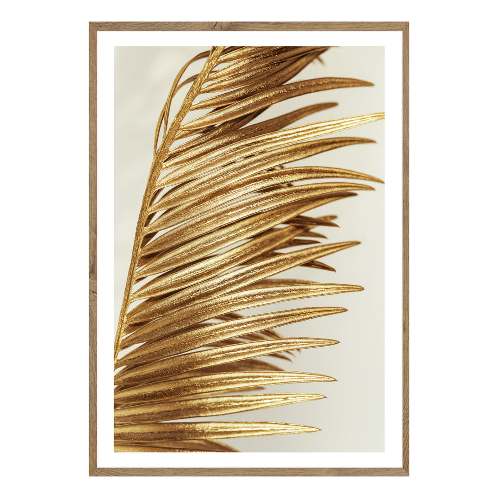 Golden Leaf Photographic Print